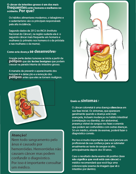Intestino grosso 3
