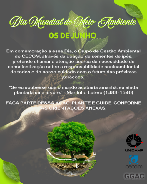 destaque